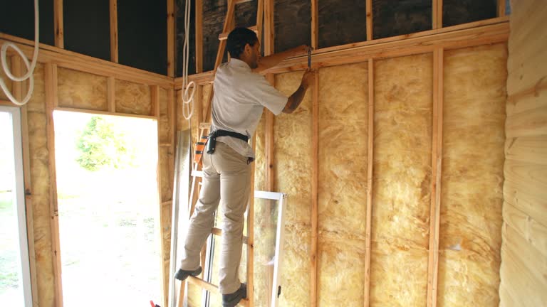 Best Basement Insulation  in Fallon, NV